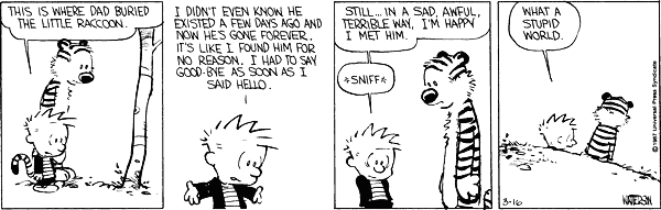 Calvin 315.gif